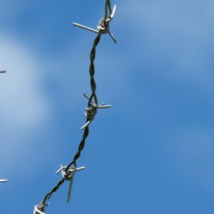 Barbed Wire
